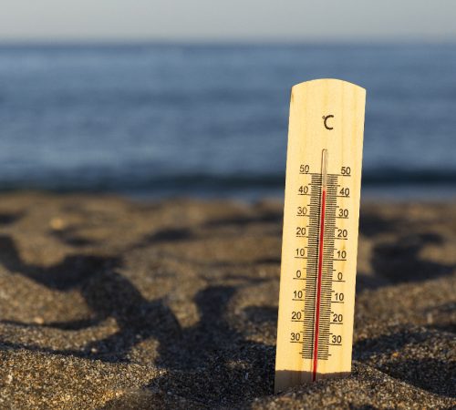 六月份地球破纪录的温度
